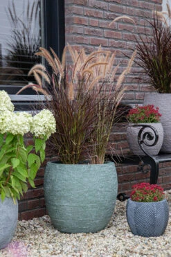 Bloempot Arizona Bullet Cypress Wash - D44 X H39cm - Groen 7 Bloempot Arizona Bullet Cypress Wash - D44 X H39cm - Groen -Pokon Winkel arizona bullet cypress wash d44h39 bloempot 7 9