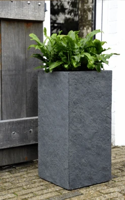 Plantenbak Arizona Cubihi - L33 X B33 X H70cm - Donkergrijs -Pokon Winkel arizona cubihi graphite w33h70 plantenbak 7 4