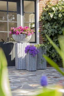 Plantenschaal Arkansas - D28 X H11.5cm - Lichtgrijs -Pokon Winkel arkansas bowl low washed grey d28h115 bloempot 7 9