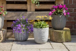 Bloempot Arkansas Egg Washed - D55 X H51cm - Lichtgrijs -Pokon Winkel arkansas egg pot washed grey d55h51 bloempot 7 9