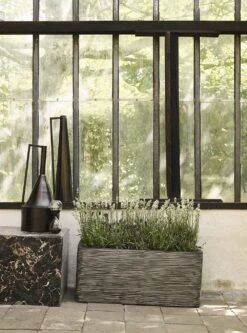 Capi Plantenbak Rechthoek Nature Rib NL - L73 X B39 X H32cm - Antraciet 5 Capi Plantenbak Rechthoek Nature Rib NL - L73 X B39 X H32cm - Antraciet -Pokon Winkel bak rechthoek rib nl 73x39x32 antraciet plantenbak 6 11