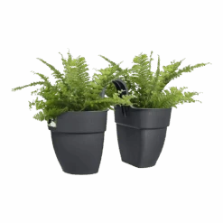 Elho Balkonbak Vibia Campana Twin 21cm - Antraciet -Pokon Winkel balkonbak vibia campana twin 21cm antraciet balkonbak antraciet 3 1