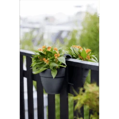 Elho Balkonbak Vibia Campana Twin 21cm - Antraciet -Pokon Winkel balkonbak vibia campana twin 21cm antraciet balkonbak antraciet 5 1