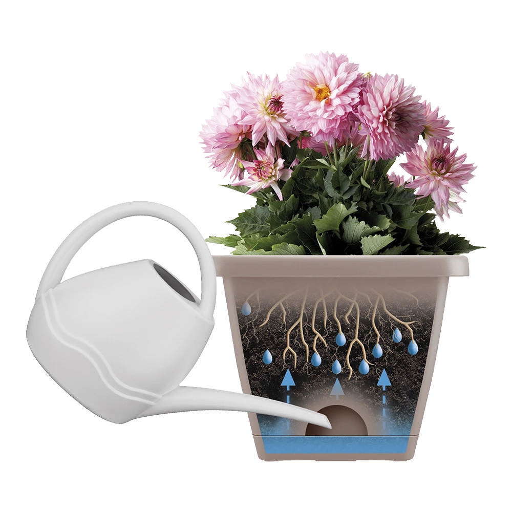 Balkonbak Elho Barcelona Allin 1 50cm - Antraciet 4 Balkonbak Elho Barcelona Allin 1 50cm - Antraciet - Afbeelding 2