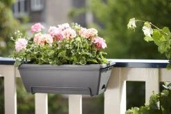 Balkonbak Elho Barcelona Allin 1 50cm - Antraciet 9 Balkonbak Elho Barcelona Allin 1 50cm - Antraciet -Pokon Winkel barcelona allin1 50cm plantenbak antraciet 7 18