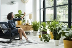 Bloempot Elho B.for Original Rond 25cm - Wit -Pokon Winkel bfor original rond 25cm bloempot wit 6 17