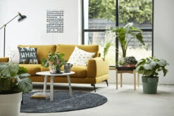 Bloempot Elho B.for Original Rond 30cm - Bladgroen -Pokon Winkel bfor original rond 30cm bloempot bladgroen 7 17