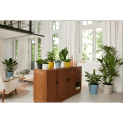 Bloempot Elho B.for Original Rond 30cm -Duifblauw -Pokon Winkel bfor original rond bloempot duifblauw 4 1