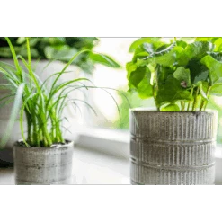 Bloempot Denise - D17 X H17cm - Off White 7 Bloempot Denise - D17 X H17cm - Off White -Pokon Winkel bloempot denise d17 x h17cm off white bloempot 3