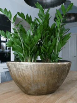 Bloempot Kos Ovaal - L49 X B21 X H37cm - Goud -Pokon Winkel bloempot kos ovaal goud bloempot 2 1