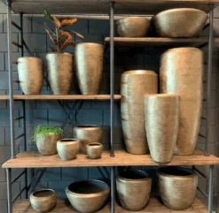 Plantenschaal Kos - D45 X H20cm - Goud 7 Plantenschaal Kos - D45 X H20cm - Goud -Pokon Winkel bloempot kos serie goud bloempot 3 1 3