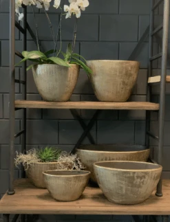 Bloempot Kos Ovaal - L30 X B13 X H17cm - Goud -Pokon Winkel bloempot kos serie ovaal goud bloempot 3 1 1