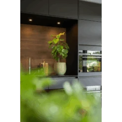 Bloempot Lydia - D22 X H20cm - Shiny Green -Pokon Winkel bloempot lydia shiny green bloempot 3