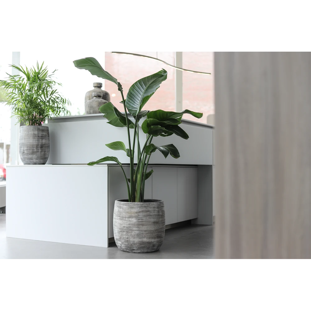 Bloempot Miami - D39 X H36cm - Zwart Cement 4 Bloempot Miami - D39 X H36cm - Zwart Cement - Afbeelding 2