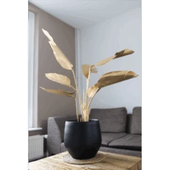 Bloempot Petra - D27 X H24cm - Mat Zwart 7 Bloempot Petra - D27 X H24cm - Mat Zwart -Pokon Winkel bloempot petra mat zwart 2