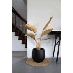 Bloempot Petra - D27 X H24cm - Mat Zwart 8 Bloempot Petra - D27 X H24cm - Mat Zwart -Pokon Winkel bloempot petra mat zwart 3