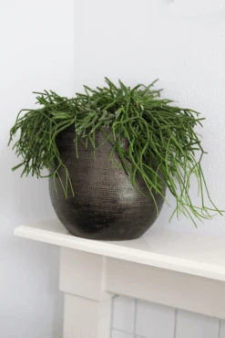 Bloempot Tokio - D20 X H18cm - Goud -Pokon Winkel bloempot tokio goud bloempot 2 1