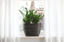 Bloempot Tokio Ovaal - L40 X B14 X H12cm - Goud -Pokon Winkel bloempot tokio ovaal goud bloempot 2 1 1