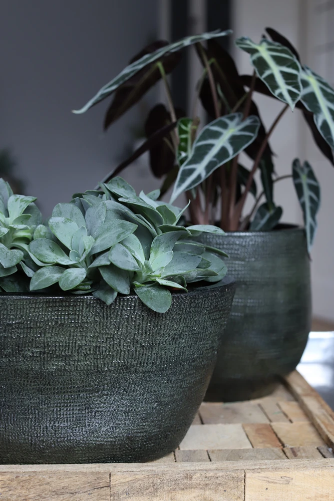 Bloempot Tokio Ovaal - L33 X B16 X H26cm - Groen 4 Bloempot Tokio Ovaal - L33 X B16 X H26cm - Groen - Afbeelding 2