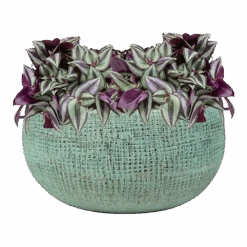 Plantenschaal Ryan - D28 X H13cm - Shiny Blue -Pokon Winkel bowl ryan shiny blue keramiek d28 h13 schaal 6 7