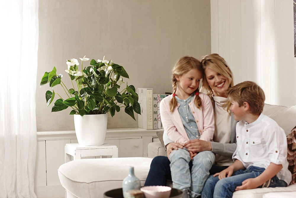 Bloempot Elho Brussels Rond 25cm - Wit 5 Bloempot Elho Brussels Rond 25cm - Wit - Afbeelding 3