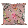 Buitenkussen Vogel 45x45cm - Tuinkussen 1 Buitenkussen Vogel 45x45cm - Tuinkussen -Pokon Winkel buitenkussen vogel 45x45cm tuinkussen polyester 1