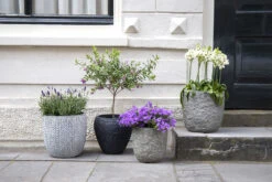 Bloempot Colorado Egg - D32 X H31cm - Grijs -Pokon Winkel colorado egg pot river grey d32h31 bloempot 7 9