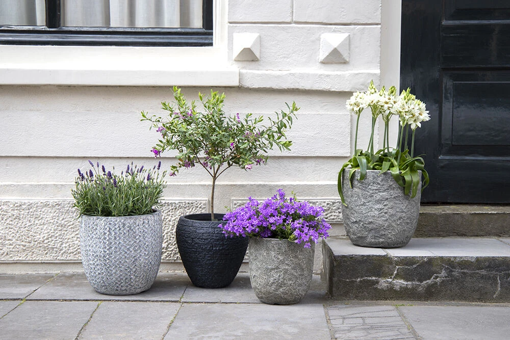 Bloempot Colorado Egg - D32 X H31cm - Grijs - Afbeelding 3