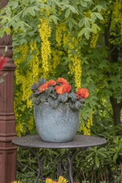 Bloempot Glazed Egg - D30 X H26cm - Groen 7 Bloempot Glazed Egg - D30 X H26cm - Groen -Pokon Winkel glazed egg pot moss green d30h26 bloempot groen 7 6