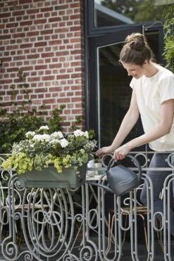 Balkonbak Elho Green Basics XL Allin1 55cm - Bladgroen -Pokon Winkel green basics balkonbak xl allin1 55cm plantenbak bladgroen 7 14