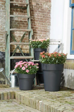 Bloempot Elho Green Basics Top Planter 47cm - Living Black -Pokon Winkel green basics top planter 47cm bloempot living black 6 13