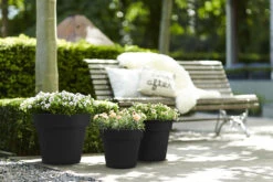 Bloempot Elho Green Basics Top Planter 47cm - Living Black -Pokon Winkel green basics top planter 47cm bloempot living black 7 13