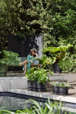 Bloembak Elho Greenville Terrace Long 50cm - Met Wielen - Living Black -Pokon Winkel greenville trough long 50 plantenbak living black 6 13