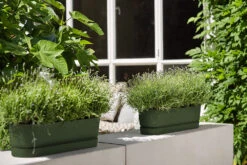 Bloembak Elho Greenville Terrace Long 70cm - Met Wielen - Bladgroen 9 Bloembak Elho Greenville Terrace Long 70cm - Met Wielen - Bladgroen -Pokon Winkel greenville trough long 70 plantenbak bladgroen 6 13