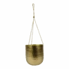 Hangpot Kody - D17 X H20cm - Goud 1 Hangpot Kody - D17 X H20cm - Goud -Pokon Winkel hanger kody gold d17 h20 hangpot 1 4