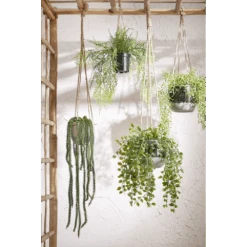 Hangpot Resa - D16,5 X H13,5cm - Donkergrijs 9 Hangpot Resa - D16,5 X H13,5cm - Donkergrijs -Pokon Winkel hangpot resa d16 5 x h13 5cm donkergrijs hangpot 4 1