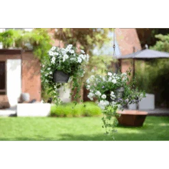 Elho Hangschaal Vibia Campana 26cm - Antraciet -Pokon Winkel hangschaal vibia campana 26cm antraciet hangpot antraciet 4 1