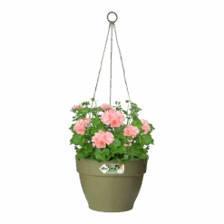 Elho Hangschaal Vibia Campana 26cm - Saliegroen 8 Elho Hangschaal Vibia Campana 26cm - Saliegroen -Pokon Winkel hangschaal vibia campana 26cm saliegroen hangpot saliegroen 3 1