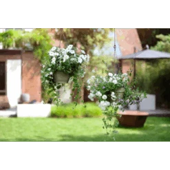 Elho Hangschaal Vibia Campana 26cm - Saliegroen 9 Elho Hangschaal Vibia Campana 26cm - Saliegroen -Pokon Winkel hangschaal vibia campana 26cm saliegroen hangpot saliegroen 4 1