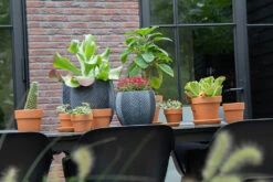 Bloempot Iowa Bullet - D57 X H50.5cm - Donkergrijs -Pokon Winkel iowa bullet graphite d57h505 bloempot 7 9