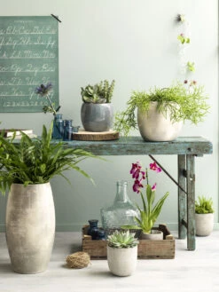 Bloempot Lester - D20 X H18cm - Lichtgrijs -Pokon Winkel lester pot rond lgrijs h18xd20cm bloempot 7 12