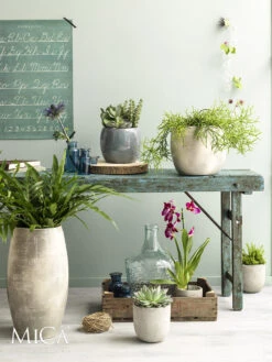 Bloempot Lester - D24 X H22cm - Lichtgrijs -Pokon Winkel lester pot rond lgrijs h22xd24cm bloempot 6 12