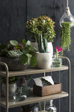 Bloempot Lester - D38 X H35cm - Lichtgrijs -Pokon Winkel lester pot rond lgrijs h35xd38cm bloempot 6 12