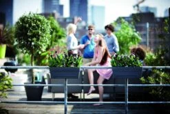 Balkonbak Elho Loft Urban Allin1 50cm - Antraciet 9 Balkonbak Elho Loft Urban Allin1 50cm - Antraciet -Pokon Winkel loft urban balkonbak allin1 50 plantenbak antraciet 7 13