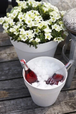 Bloempot Elho Loft Urban Rond 30cm - Antraciet 5 Bloempot Elho Loft Urban Rond 30cm - Antraciet -Pokon Winkel loft urban rond 30 bloempot antraciet 6 15