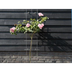 Nature - Metalen Klimrek Geplastificeerd Grijs H145x42,5cm -Pokon Winkel nature metalen klimrek geplastificeerd grijs h145x42 5cm 3 2