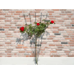 Nature - Metalen Klimrekv Geplastificeerd Groen H145x5/75cm 8 Nature - Metalen Klimrekv Geplastificeerd Groen H145x5/75cm -Pokon Winkel nature metalen klimrekv geplastificeerd groen h145x5 75cm 3 2