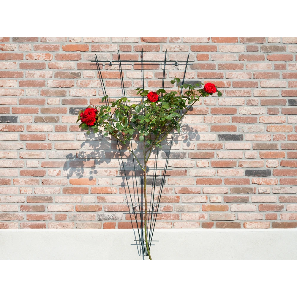 Nature - Metalen Klimrekv Geplastificeerd Groen H145x5/75cm 5 Nature - Metalen Klimrekv Geplastificeerd Groen H145x5/75cm - Afbeelding 3