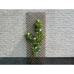 Nature - Wilgenklimrek 60x180cm -Pokon Winkel nature wilgenklimrek 60x180cm 3 2