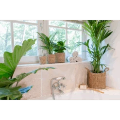 Plantenmand Joris - D30 X H27cm - Naturel -Pokon Winkel plantenmand joris naturel plantenmand 3 2